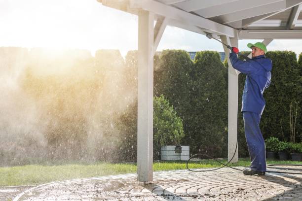 Best Gutter Cleaning  in Cleveland, MS