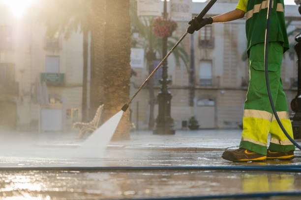Best Roof Washing  in Cleveland, MS